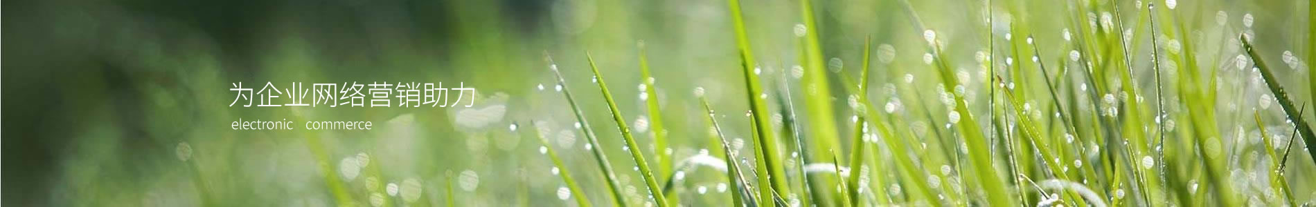 ȷʕ޹˾